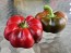 Sweet Pepper 'Liebesapfel' aka 'Love Apple' Seeds (Certified Organic)