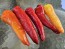Banana Pepper 'Sweet Banana' Seeds (Certified Organic)