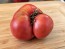 Tomato 'Sarah Schwartz' Seeds (Certified Organic)