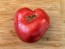 Tomato 'Sarah Schwartz' Seeds (Certified Organic)