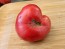 Tomato 'Sarah Schwartz' Seeds (Certified Organic)