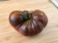 Tomato 'Purple Marvel' Seeds (Certified Organic)