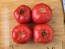 Tomato 'Early Detroit' Seeds (Certified Organic)