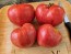 Tomato 'Early Detroit' Seeds (Certified Organic)