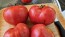 Tomato 'Early Detroit' Seeds (Certified Organic)