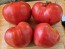 Tomato 'Early Detroit' Seeds (Certified Organic)