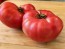 Dwarf Tomato 'Strawberry Lemonade' Seeds (Certified Organic)