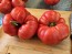Dwarf Tomato 'Snakebite' Seeds (Certified Organic)