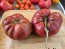 Dwarf Tomato 'Black Angus' Seeds (Certified Organic)