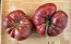 Dwarf Tomato 'Black Angus' Seeds (Certified Organic)