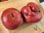 Dwarf Tomato 'Black Angus' Seeds (Certified Organic)