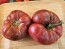 Dwarf Tomato 'Black Angus' Seeds (Certified Organic)