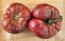 Dwarf Tomato 'Black Angus' Seeds (Certified Organic)