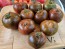 Tomato 'Crazy Horse' Seeds (Certified Organic)