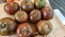 Tomato 'Crazy Horse' Seeds (Certified Organic)