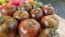 Tomato 'Crazy Horse' Seeds (Certified Organic)