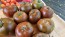 Tomato 'Crazy Horse' Seeds (Certified Organic)