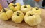 Tomato 'Ghost' Seeds (Certified Organic)