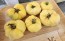 Tomato 'Ghost' Seeds (Certified Organic)
