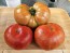 Tomato 'Beefmaster F2' Seeds (Certified Organic)