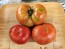 Tomato 'Beefmaster F2' Seeds (Certified Organic)