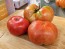 Tomato 'Beefmaster F2' Seeds (Certified Organic)