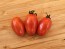 Tomato 'Mini Red Oval TR' Seeds (Certified Organic) 
