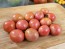 Tomato 'Garden Pearl' Seeds (Certified Organic)