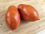 Tomato 'Ropreco Paste' Seeds (Certified Organic)