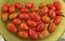 Tomato 'Jelly Bean' Seeds (Certified Organic)