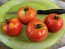 Tomato 'Super Sioux' Seeds (Certified Organic)
