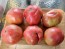 Tomato 'Marianna's Peace' Seeds (Certified Organic)