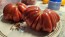 Tomato 'Zapotec Pleated' Seeds (Certified Organic)