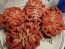 Tomato 'Zapotec Pleated' Seeds (Certified Organic)