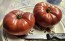 Tomato 'Sarah Schwartz' Seeds (Certified Organic)