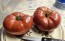 Tomato 'Sarah Schwartz' Seeds (Certified Organic)