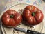 Tomato 'Sarah Schwartz' Seeds (Certified Organic)