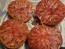 Tomato 'Sarah Schwartz' Seeds (Certified Organic)
