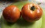 Tomato 'Italian Beefsteak' Seeds (Certified Organic)