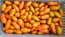 Tomato 'Sun Dipper F2' Seeds (Certified Organic)