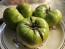 Tomato 'Absinthe' Seeds (Certified Organic)
