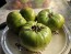 Tomato 'Absinthe' Seeds (Certified Organic)