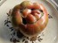 Tomato 'Aunt Lou's Underground Railroad' Seeds (Certified Organic)
