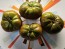 Tomato 'Black Sea Man' Seeds (Certified Organic)