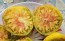 Tomato 'Big Rainbow' Seeds (Certified Organic)