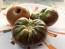 Tomato 'Black Krim' Seeds (Certified Organic)