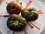 Tomato 'Black Krim' Seeds (Certified Organic)