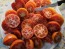 Tomato 'New Yorker' Seeds (Certified Organic)