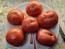 Tomato 'Missouri Pink Love Apple’ Seeds (Certified Organic)