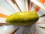 Tomato 'Green Sausage' Seeds (Certified Organic)